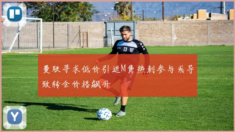 曼联寻求低价引进M费热刺参与或导致转会价格飙升