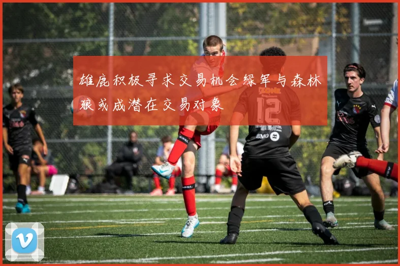 雄鹿积极寻求交易机会绿军与森林狼或成潜在交易对象